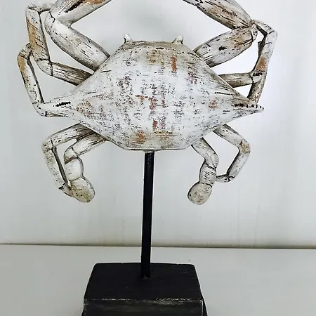 Morski Hampton W Playa Baltis * מידזיזדרויה